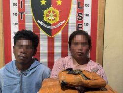 Polisi gagalkan Penyeludupan Narkotika Jenis Ganja dan Dua Orang Terduga Kurir Asal Penyambungan Madina. 