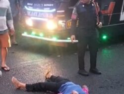 Bus Sinar Sepadan Tabrak Seorang Pejalan Kaki Meninggal ditempat.