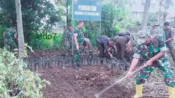 Koramil 02/Sidikalang Siapkan Ratusan Bibit Tanaman Keras untuk Penghijauan