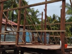 TMMD Ke-128 Kodim 1710/Mimika Gunakan Kayu Besi Berkualitas untuk Bangun Rumah Layak Huni di Kampung Keakwa