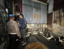 Kandang Ayam Jadi Tempat Transaksi Sabu, Polisi  Amankan Tiga Pria di Medan Denai