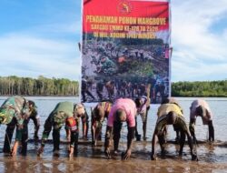 Bersatu Dengan Alam, Satgas TMMD Kodim 1710/Mimika Tanam Ribuan Bibit Mangrove