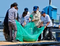 Presiden Prabowo Panen Raya Udang di BUBK Kebumen, Perkuat Budi Daya Modern dan Ketahanan Pangan Nasional