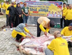 PWMOI Riau dan DNT Tour and Travel Gelar Kurban Perdana, Pererat Solidaritas Pengurus