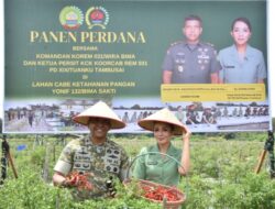 Danrem 031/WB Laksanakan Panen Raya Cabai di Kebun Yonif 132/BS sebagai Wujud Nyata Dukungan TNI terhadap Program Ketahanan Pangan Nasional