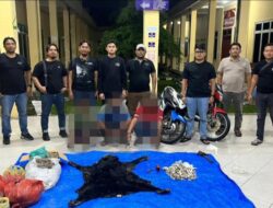Gerak Cepat Unit Reskrim Polres Simalungun Bongkar Jaringan Perdagangan Bagian Tubuh Satwa Dilindungi, Tiga Pelaku Dibekuk di Pintu Tol Simpang Panei