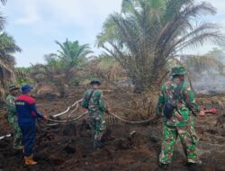 Kodam XIX/Tuanku Tambusai Terus Berjibaku Padamkan Karhutla di Rengat, 2,4 Hektare Lahan Berhasil Diamankan