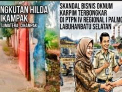 Manajemen PTPN IV Regional I Bungkam, Skandal Bisnis Oknum Karpim di Sei Baruhur Terbongkar