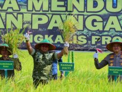 Kasdam Kodam XIX Tuanku Tambusai Pimpin Panen Raya Bengkalis, Terhubung dengan Presiden RI dalam Panen Raya Nasional