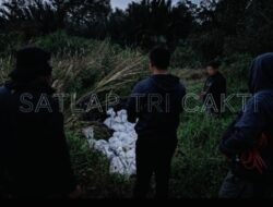 Satlap Tri Cakti dan Satgas Gabungan Berhasil Gagalkan Upaya Penyelundupan 1.040 KG Bijih Timah Ilegal di Pantai Kelambui, Bangka Selatan
