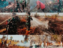 TNI Kerahkan 14.167 Personel Tangani Karhutla di Sejumlah Wilayah