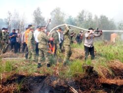 Komandan Lanud Sjamsudin Noor Pimpin Langsung Pemadaman Kebakaran Hutan dan Lahan di Kalimantan Selatan
