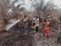 Kodam XIX Tuanku Tambusai Tuntaskan Pemadaman Karhutla di Toro Jaya