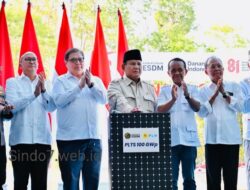 Presiden Prabowo Luncurkan PLTS 100 GWp, Diawali 14 PLTS Berkapasitas 5,3 GWp