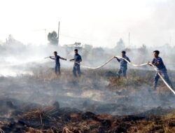 Pemadaman dan Pembasahan Lahan Gambut Diperkuat, Satgas Darat Lanud Sjamsudin Noor Berjibaku di Tengah Asap Tekan Dampak Karhutla di Kalsel