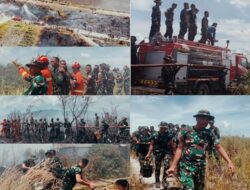 Pemkab Humbahas dan Yonif TP 955 HS Padamkan Kebakaran Lahan Warga di Simangaronsang