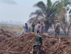 Kodam XIX Tuanku Tambusai Hadapi Karhutla Pelalawan, 80,67 Hektare Lahan Terbakar Bertambah