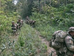 Pasukan Airborne SGS 2026 Laksanakan Operasi Lanjutan Dalam Materi Jungle FTX